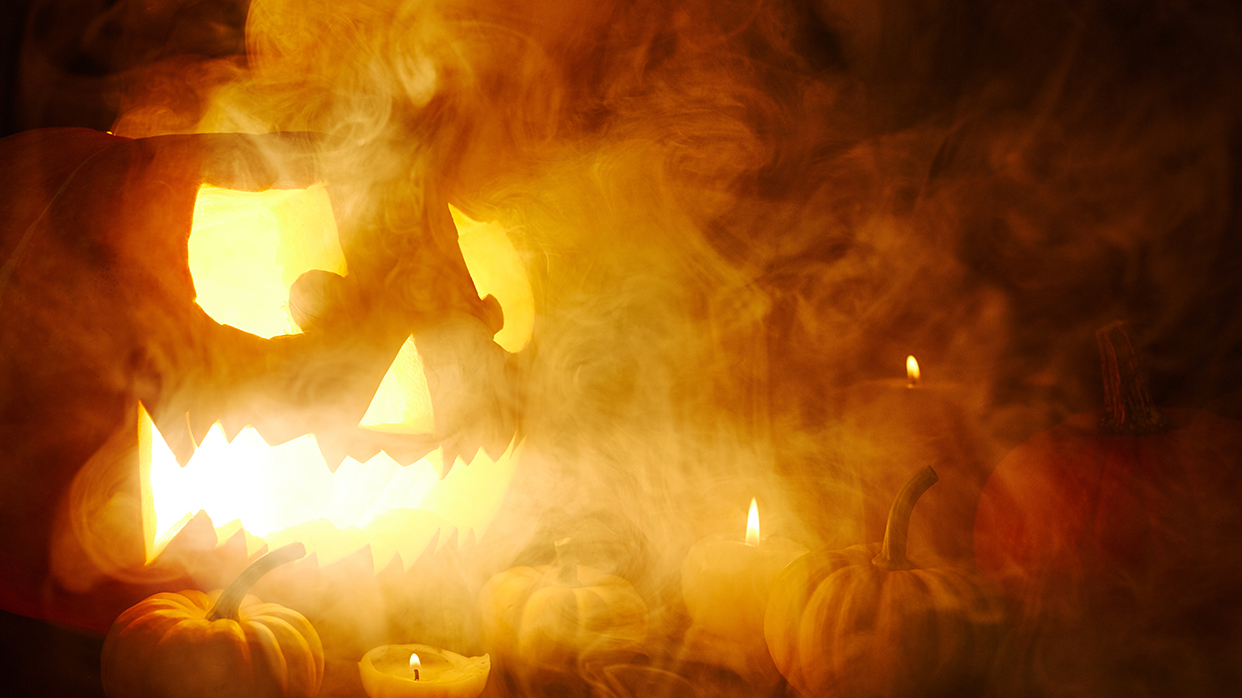 Как «страшная» тыква на Хэллоуин разнообразит рацион